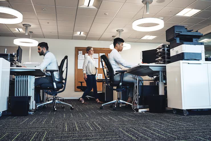 Expertise and Experience