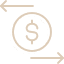 Money Icon